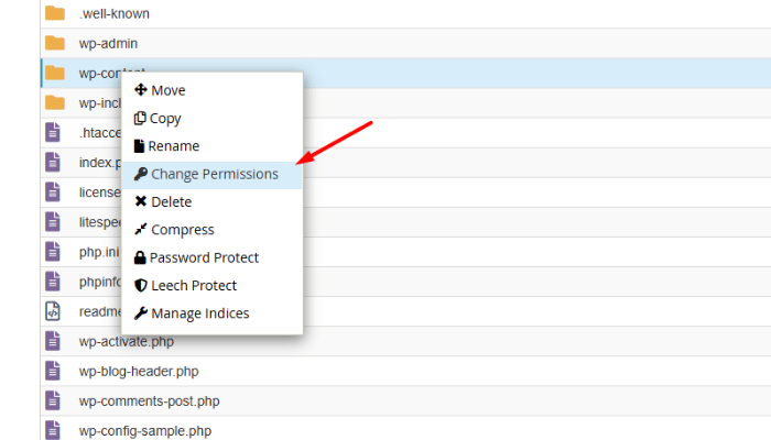 Hướng dẫn cách sửa lỗi 413 Request Entity too large trong WordPress 2025 4 Đặt lại quyền tệp (File Permissions)