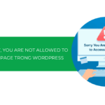 Hướng dẫn sửa lỗi Sorry, You Are Not Allowed to Access This Page trong WordPress [2025]