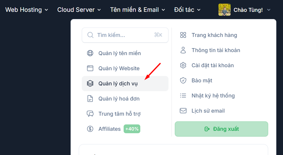 Lấy địa chỉ IP của VPS