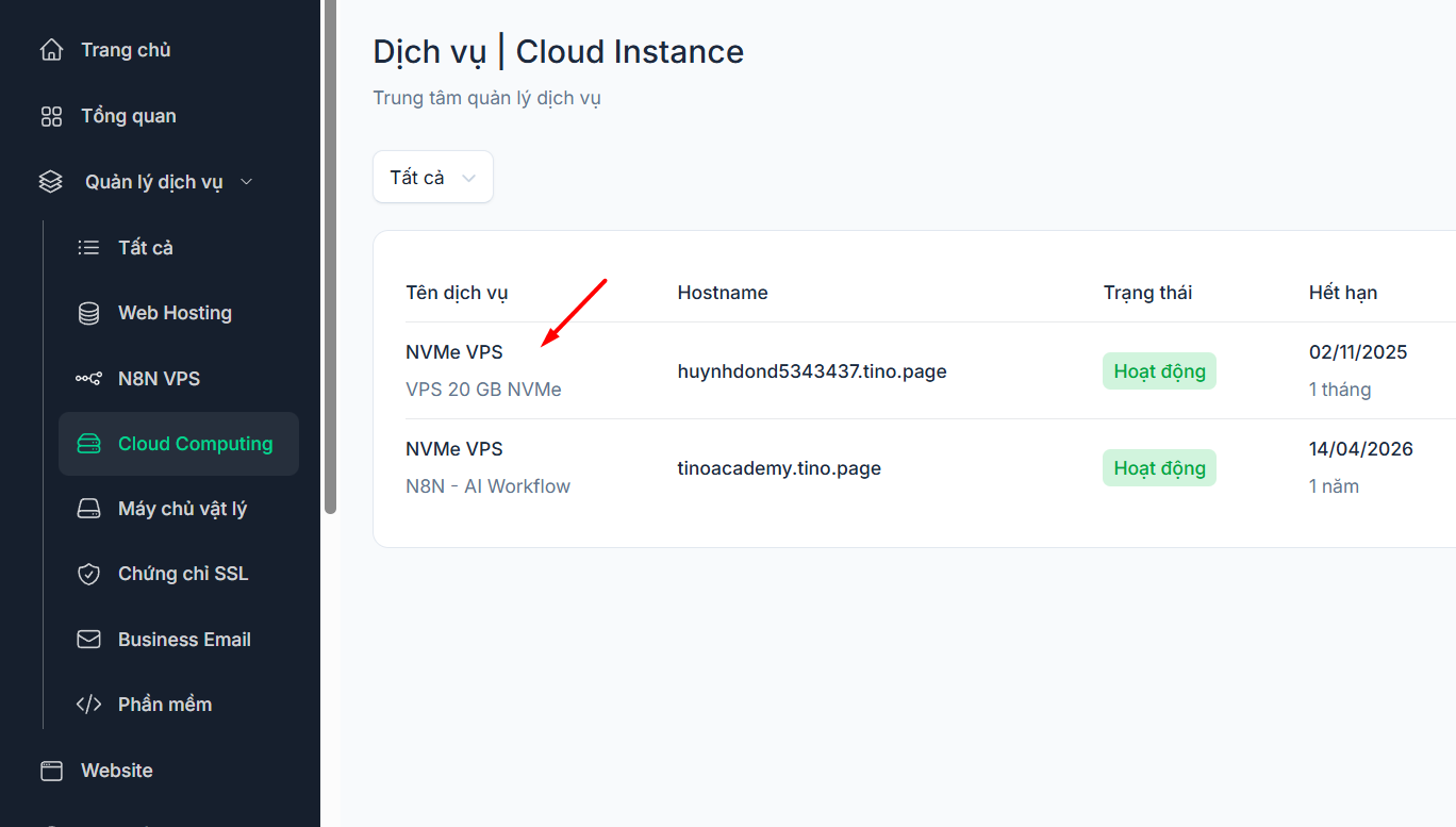 Lấy địa chỉ IP của VPS
