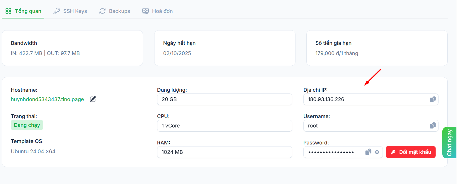 Lấy địa chỉ IP của VPS