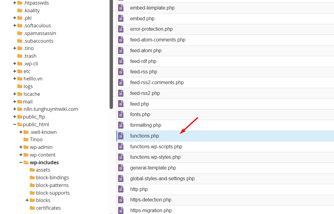Khám phá các tệp và thư mục phổ biến trong WordPress 5 Tệp functions.php