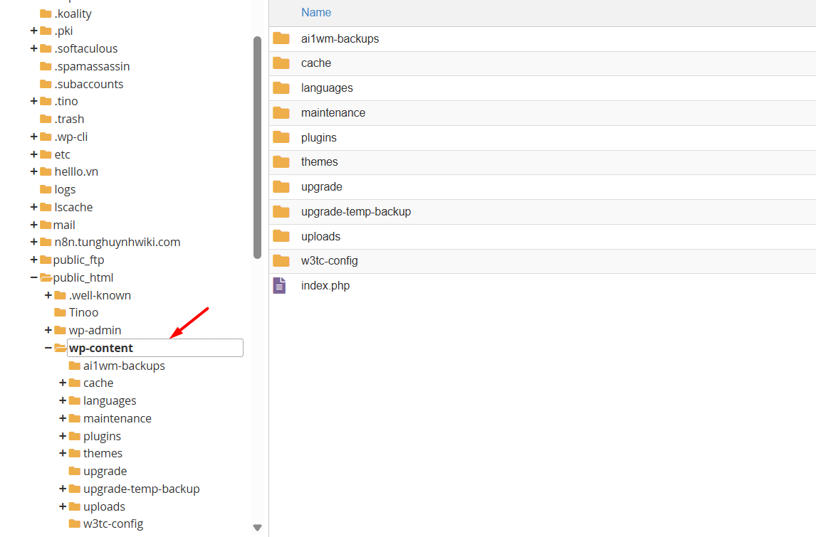 Khám phá các tệp và thư mục phổ biến trong WordPress 6 Thư mục wp-content
