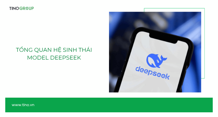 Tổng quan hệ sinh thái model DeepSeek