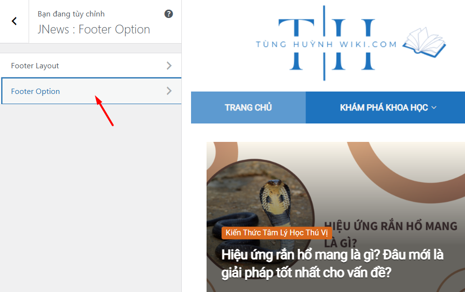 Sử dụng tính năng Theme Customizer (Tùy biến giao diện)