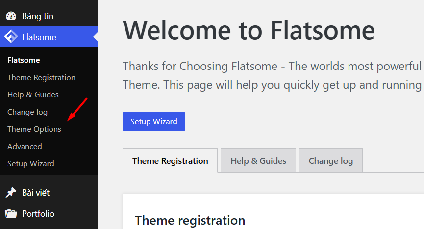 Chỉnh sửa trong Theme Options (Đối với các Theme trả phí)