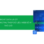 Bright Data là gì? Tất tần tật về nền tảng thu thập dữ liệu web số #1 thế giới