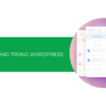 Chia sẻ 3 cách tạo bảng trong WordPress cực kỳ đơn giản [2025]