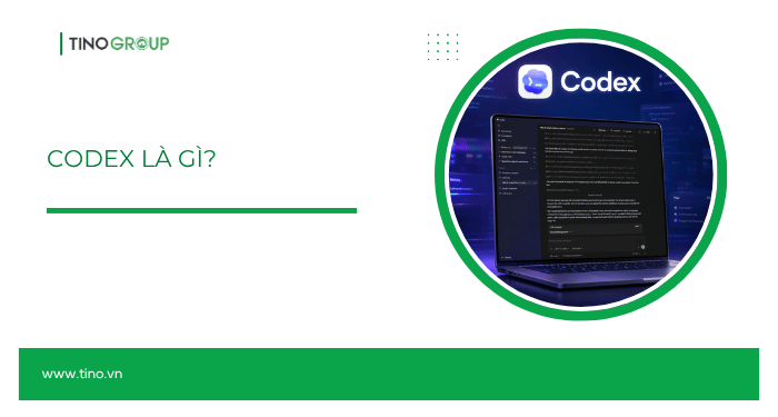 Codex là gì?