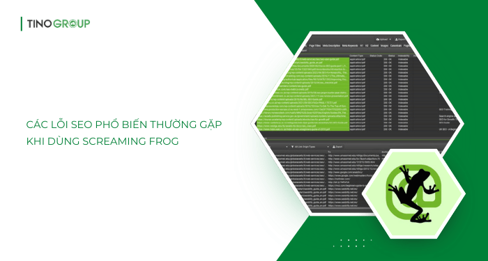 Các lỗi SEO phổ biến thường gặp khi dùng Screaming Frog và cách khắc phục