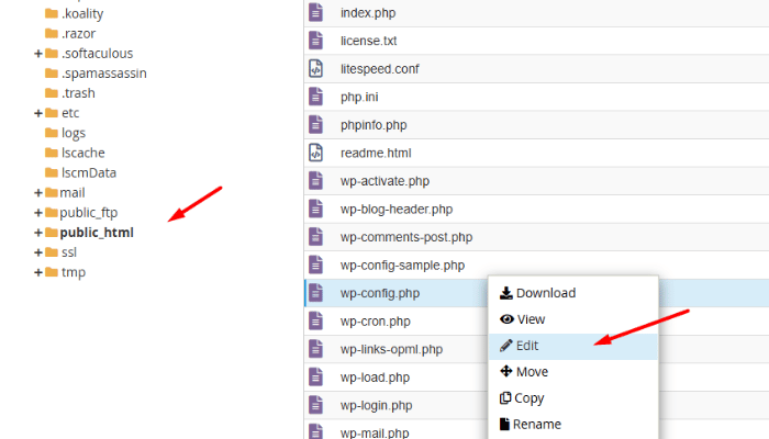Chỉnh sửa file wp-config.php