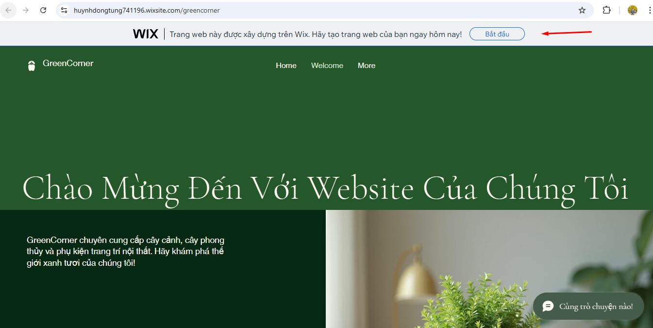 Bắt đầu thiết kế web