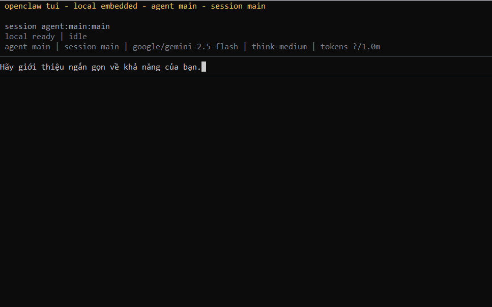 OpenClaw là gì? Cách cài đặt và sử dụng OpenClaw trên máy tính đơn giản 17 Các bước cài đặt và sử dụng OpenClaw trên máy tính
