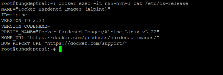 Kiểm tra hệ điều hành bên trong container
