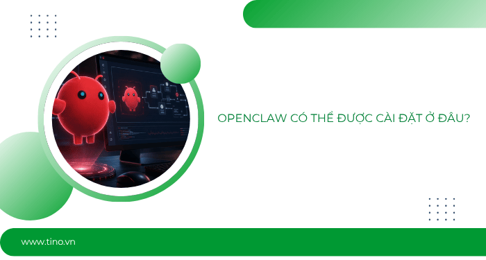 OpenClaw là gì? Cách cài đặt và sử dụng OpenClaw trên máy tính đơn giản 4 OpenClaw có thể được cài đặt ở đâu?