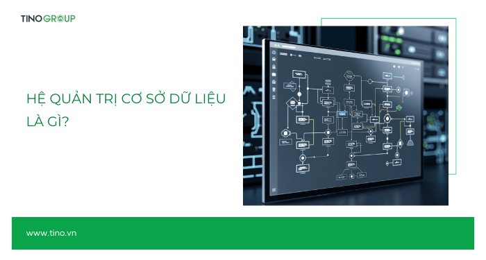 Hệ quản trị cơ sở dữ liệu là gì?