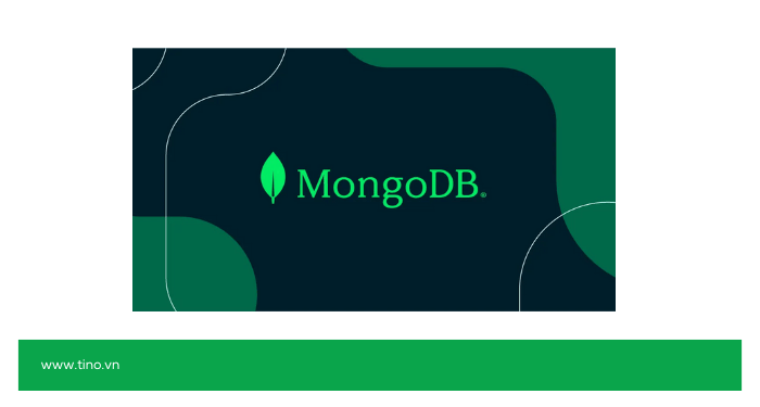 #5. MongoDB