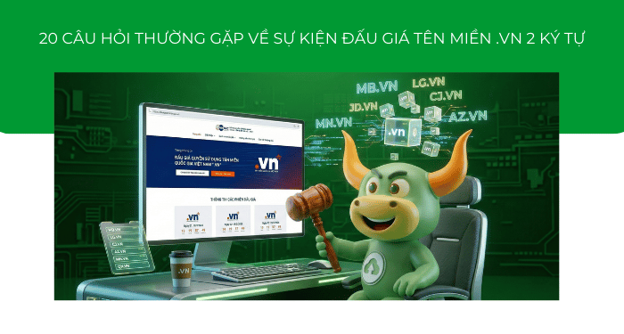 20 câu hỏi thường gặp khi tham gia đấu giá tên miền .VN 2 ký tự