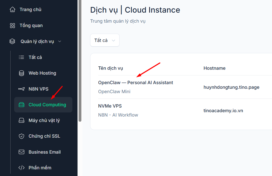 Hướng dẫn lấy thông tin đăng nhập VPS tại Tino