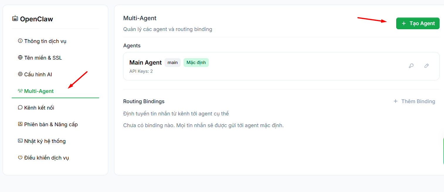 Cấu hình Agent 