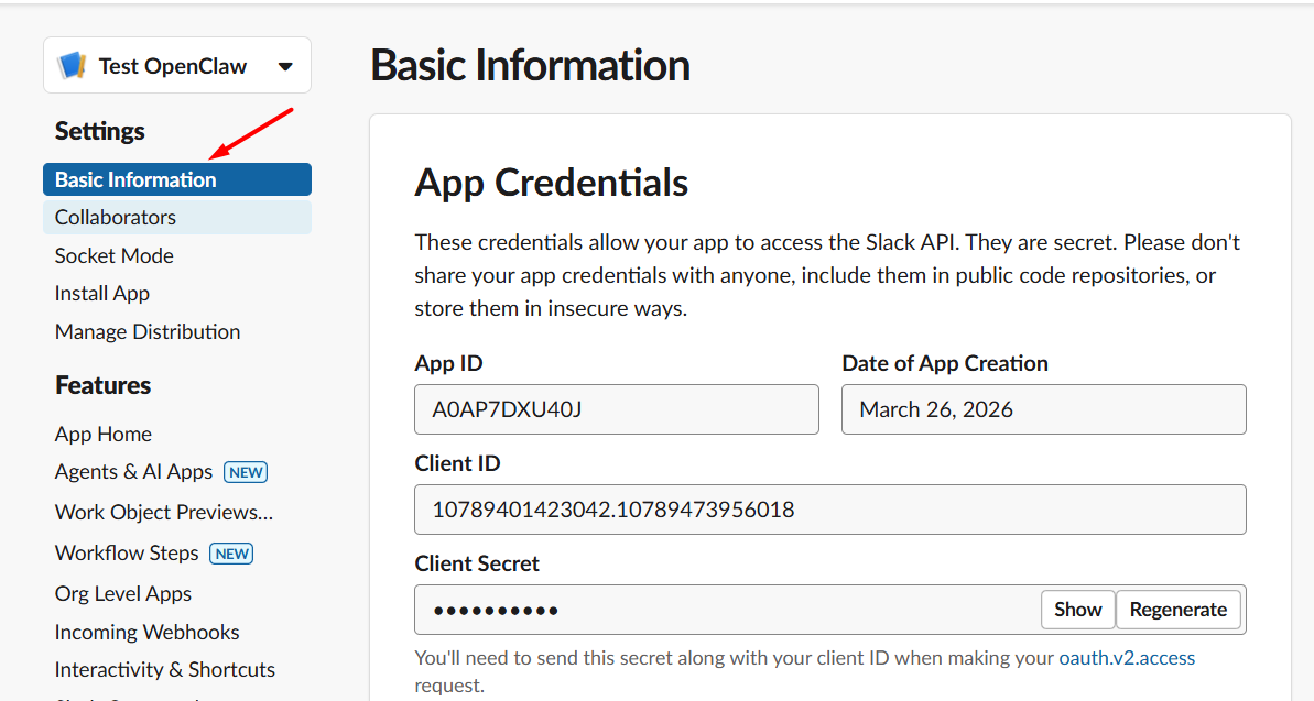 Cấu hình và lấy mã App-Level Token