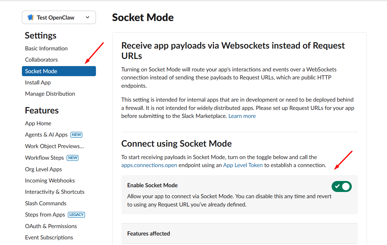 Kích hoạt kết nối Socket Mode