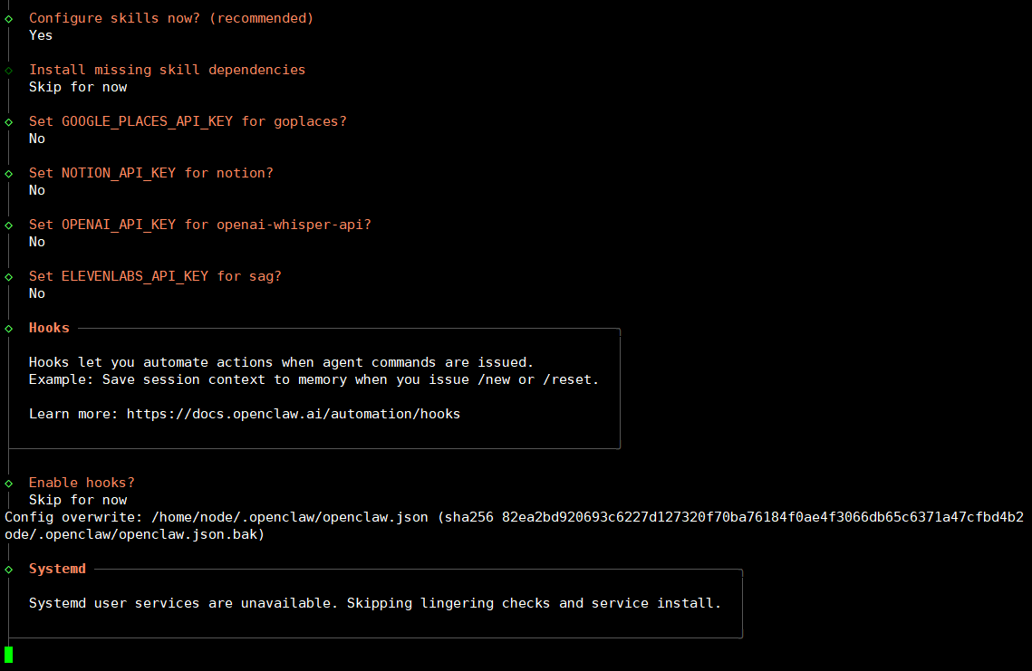 Hướng dẫn cài đặt OpenClaw trên VPS bằng Docker 22 Bước 5: Cấu hình Web search, Skills và các thành phần khác