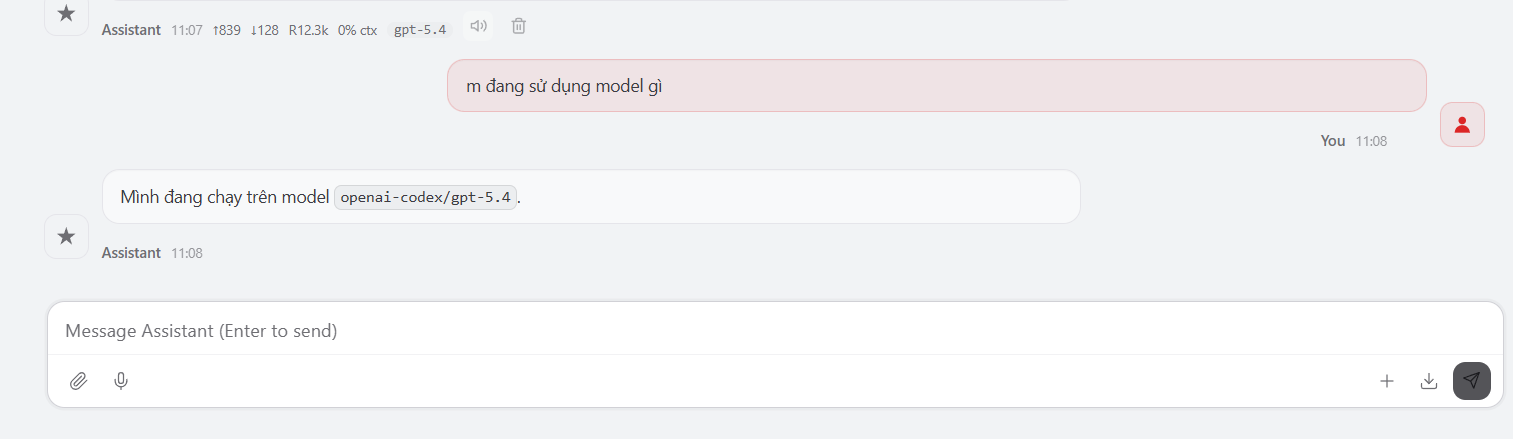 Hướng dẫn kết nối Codex (ChatGPT OAuth) với OpenClaw 12 Kết nối trên VPS OpenClaw của Tino