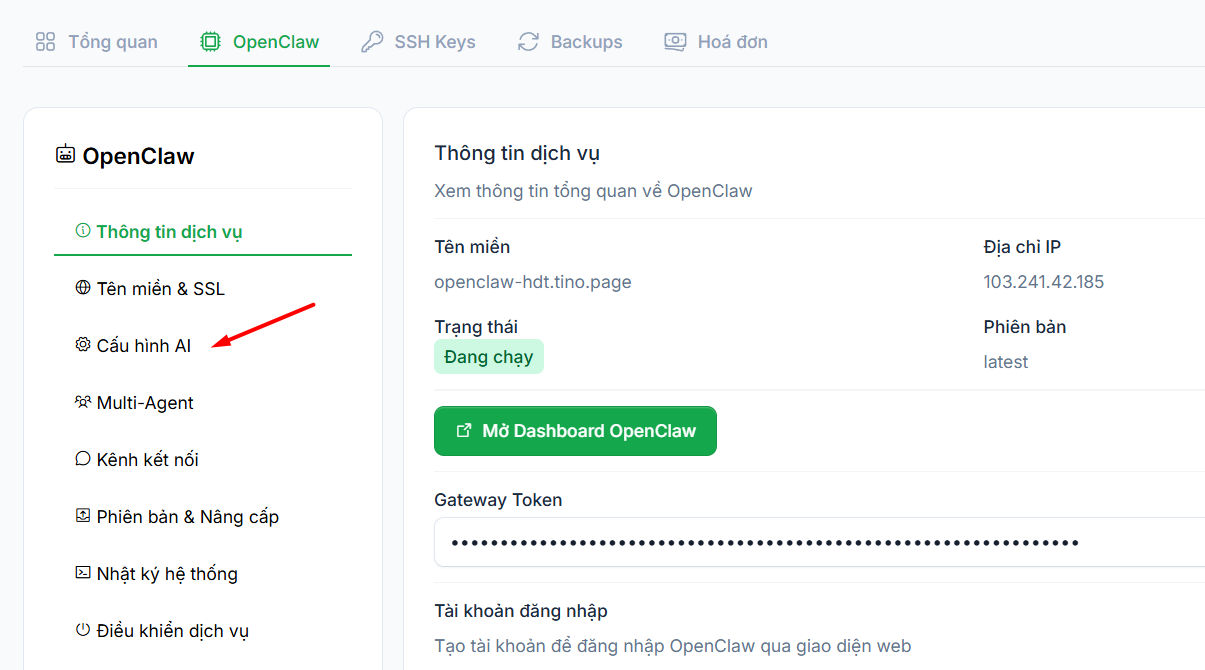 Hướng dẫn kết nối Codex (ChatGPT OAuth) với OpenClaw 3 Kết nối trên VPS OpenClaw của Tino