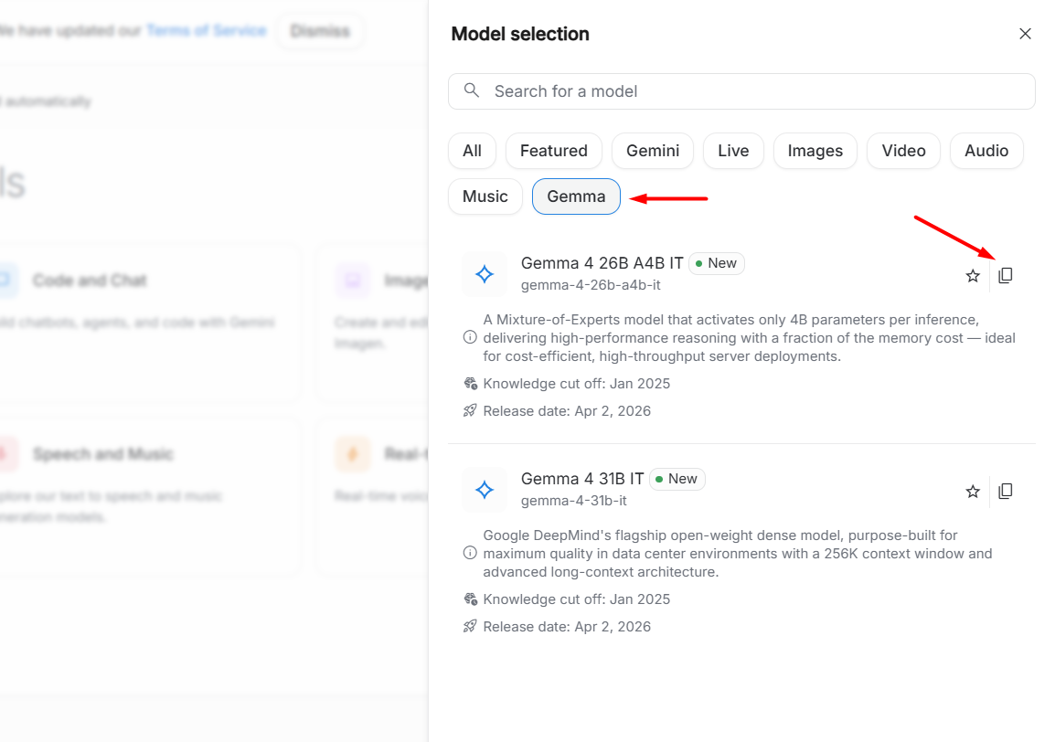 Bổ sung định danh mô hình Gemma 4