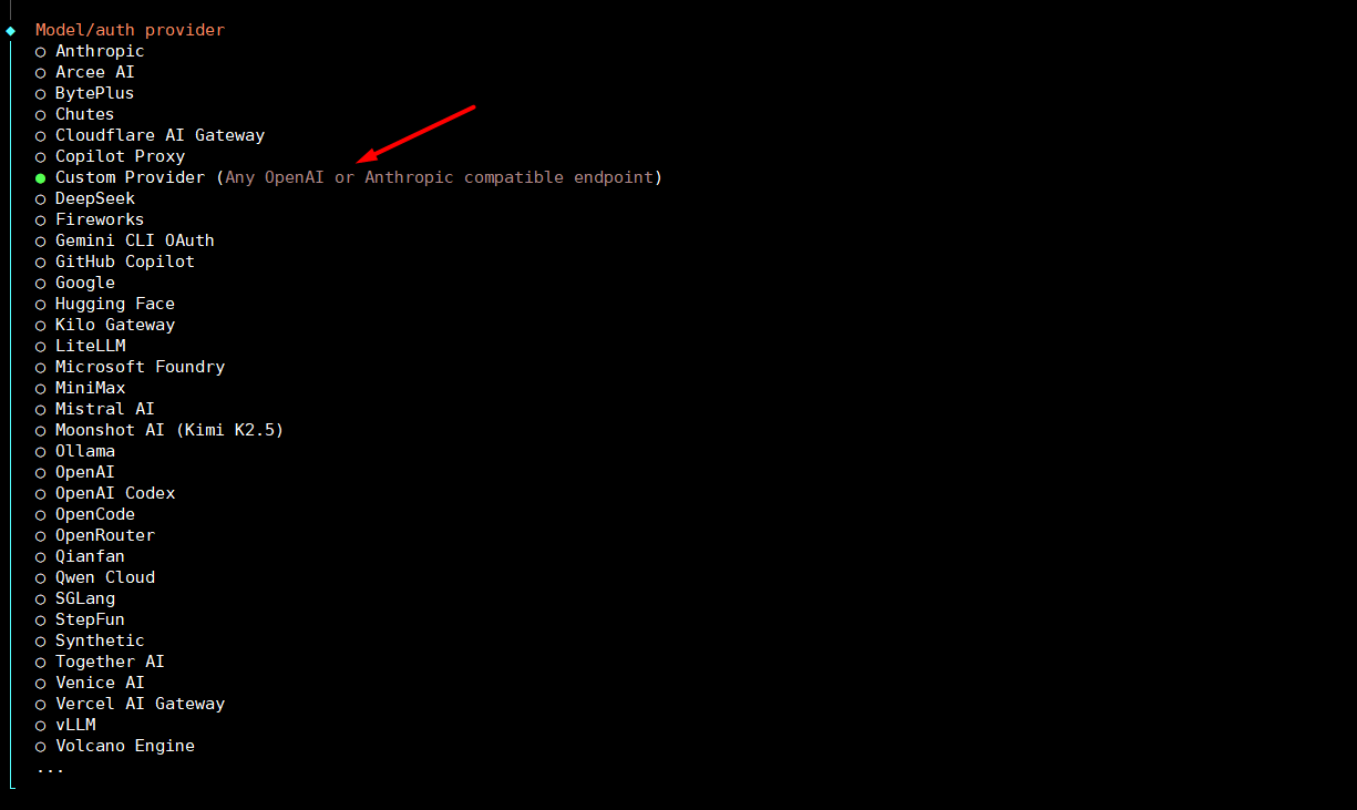 Hướng dẫn sử dụng Gemma 4 trên OpenClaw với 9Router 2