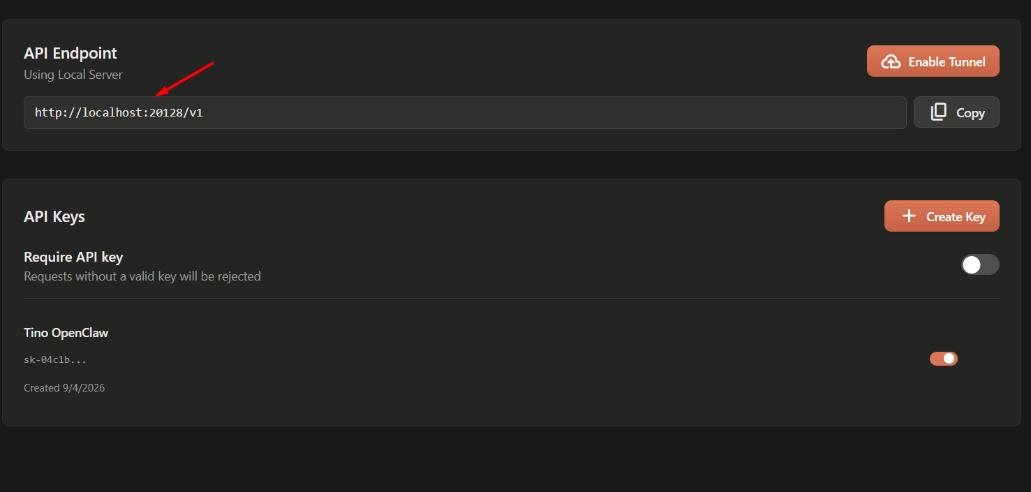 Hướng dẫn sử dụng Gemma 4 trên OpenClaw với 9Router 1