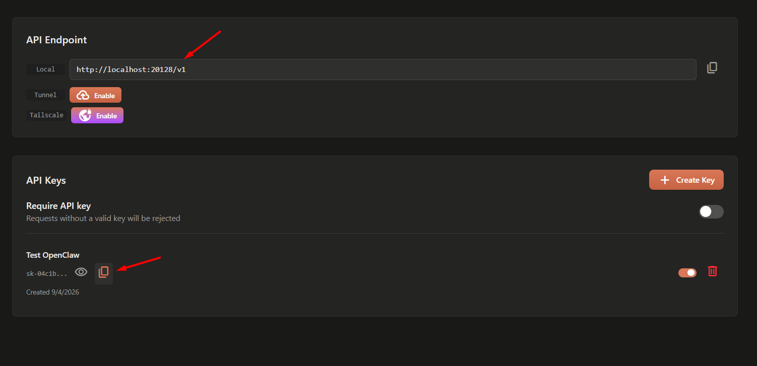 Tạo API Key cho OpenClaw trên 9Router