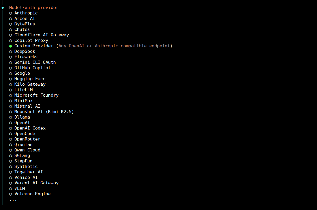 Kết nối 9Router với OpenClaw trên VPS