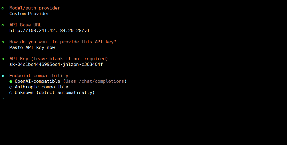 Kết nối 9Router với OpenClaw trên VPS