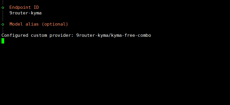 Kết nối 9Router với OpenClaw trên VPS