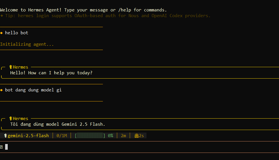 Bước 6 — Vào giao diện chat trực tiếp trên Terminal 
