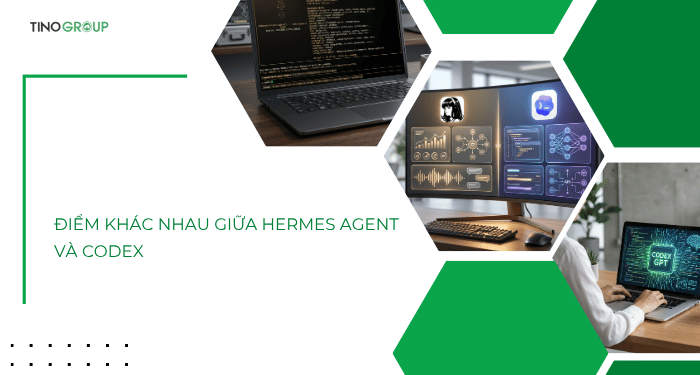 So sánh Hermes Agent vs Codex: Tự host linh hoạt hay coding agent chuyên sâu? 4 Điểm khác nhau giữa Hermes Agent và Codex