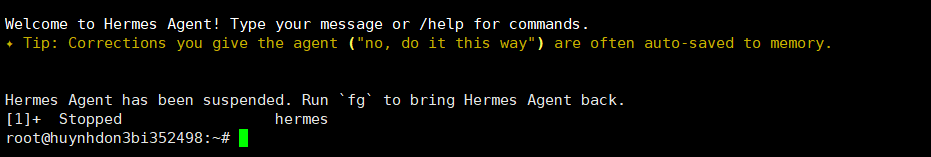 Tạm ẩn Hermes về nền