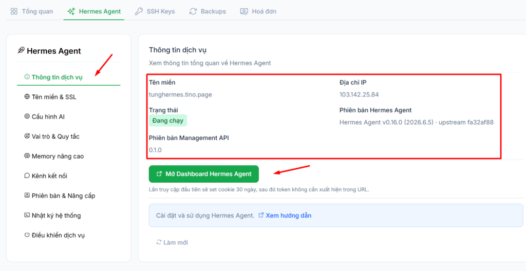 Hướng dẫn đăng ký và sử dụng VPS Hermes Agent chi tiết cho người mới 10 2.1. Truy cập dịch vụ