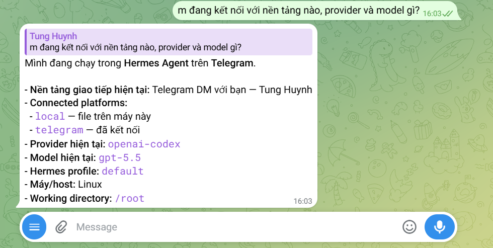 Hướng dẫn kết nối ChatGPT/Codex với Hermes Agent trên VPS Hermes của Tino 6 Các bước kết nối ChatGPT/Codex với Hermes Agent trên VPS Hermes