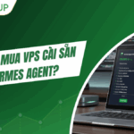 Có nên mua VPS cài sẵn Hermes Agent? Ưu nhược điểm cần biết trước khi chọn