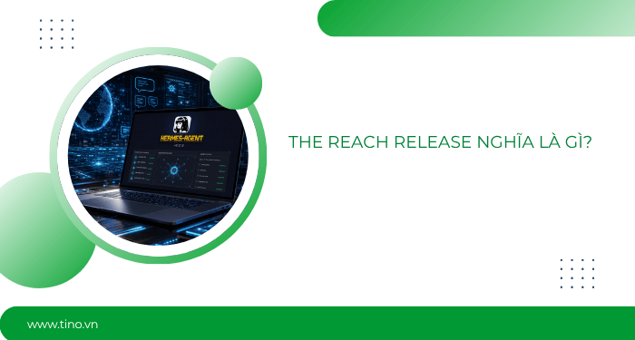 The Reach Release nghĩa là gì?