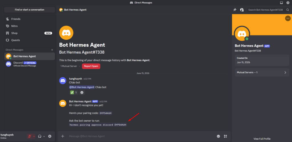 Hướng dẫn kết nối Discord với Hermes Agent trên VPS Hermes của Tino 20 Phần 8: Gửi tin nhắn thử cho bot