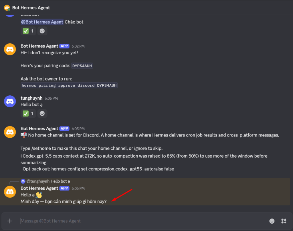 Hướng dẫn kết nối Discord với Hermes Agent trên VPS Hermes của Tino 24 Phần 11: Quay lại Discord và nhắn lại với bot