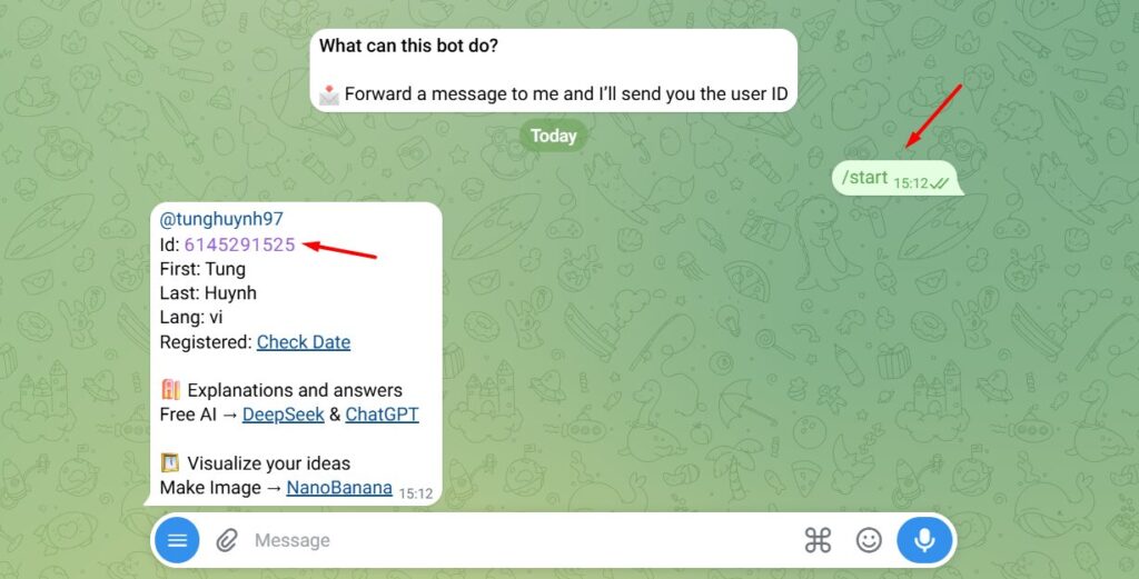 Hướng dẫn kết nối Telegram với Hermes Agent trên VPS Hermes của Tino 6 Lấy Telegram User ID