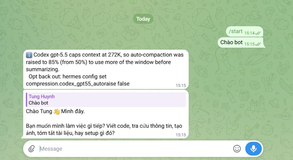 Hướng dẫn kết nối Telegram với Hermes Agent trên VPS Hermes của Tino 9 Nhắn thử với bot Telegram