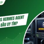 Mua VPS Hermes Agent ở đâu uy tín? 7 tiêu chí cần biết trước khi chọn