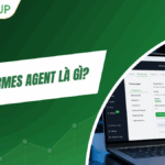 VPS Hermes Agent là gì? Cách dùng AI Agent tự học trên VPS cài sẵn, không cần code