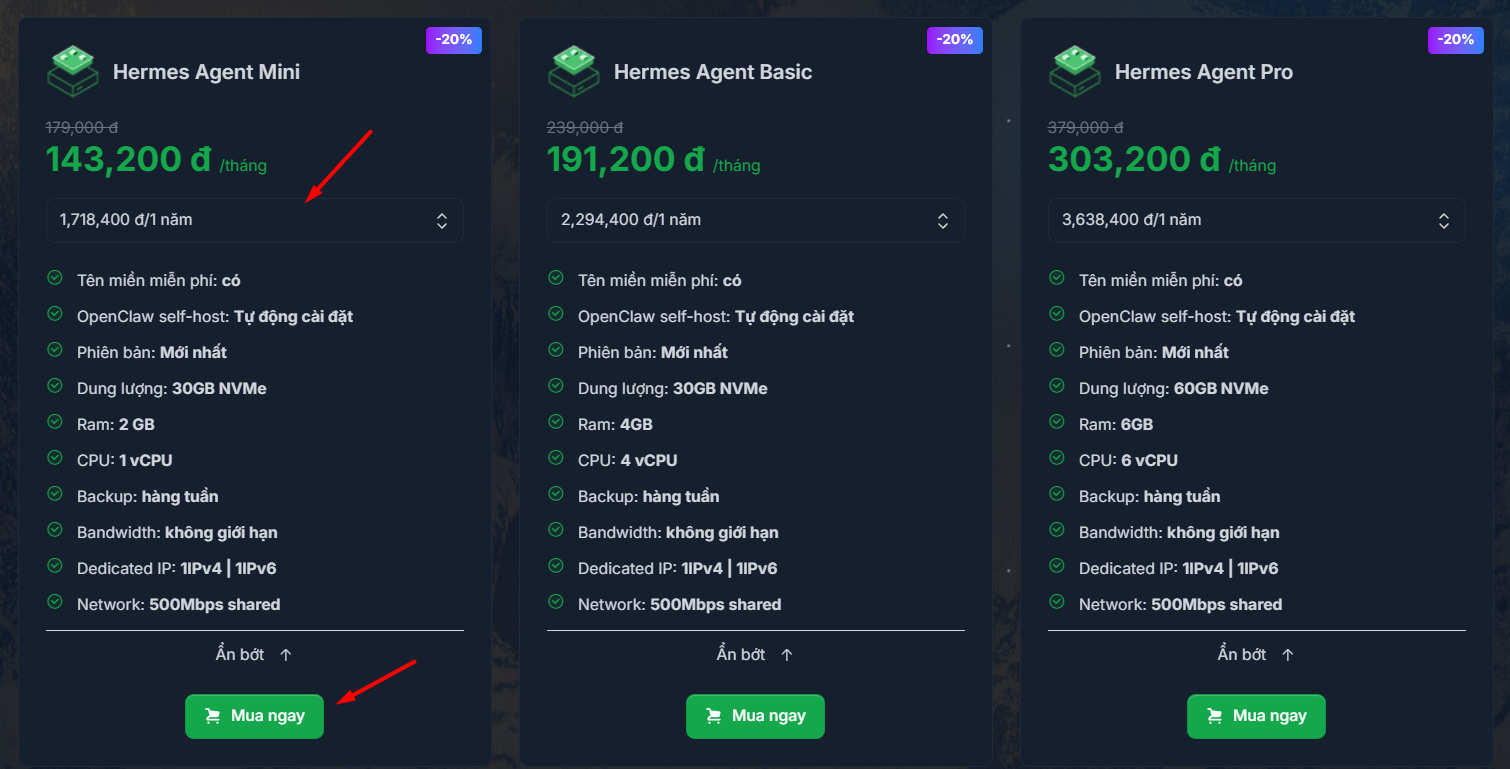 Hướng dẫn đăng ký và sử dụng VPS Hermes Agent chi tiết cho người mới 2 Hướng dẫn đăng ký và sử dụng VPS Hermes Agent chi tiết cho người mới 1